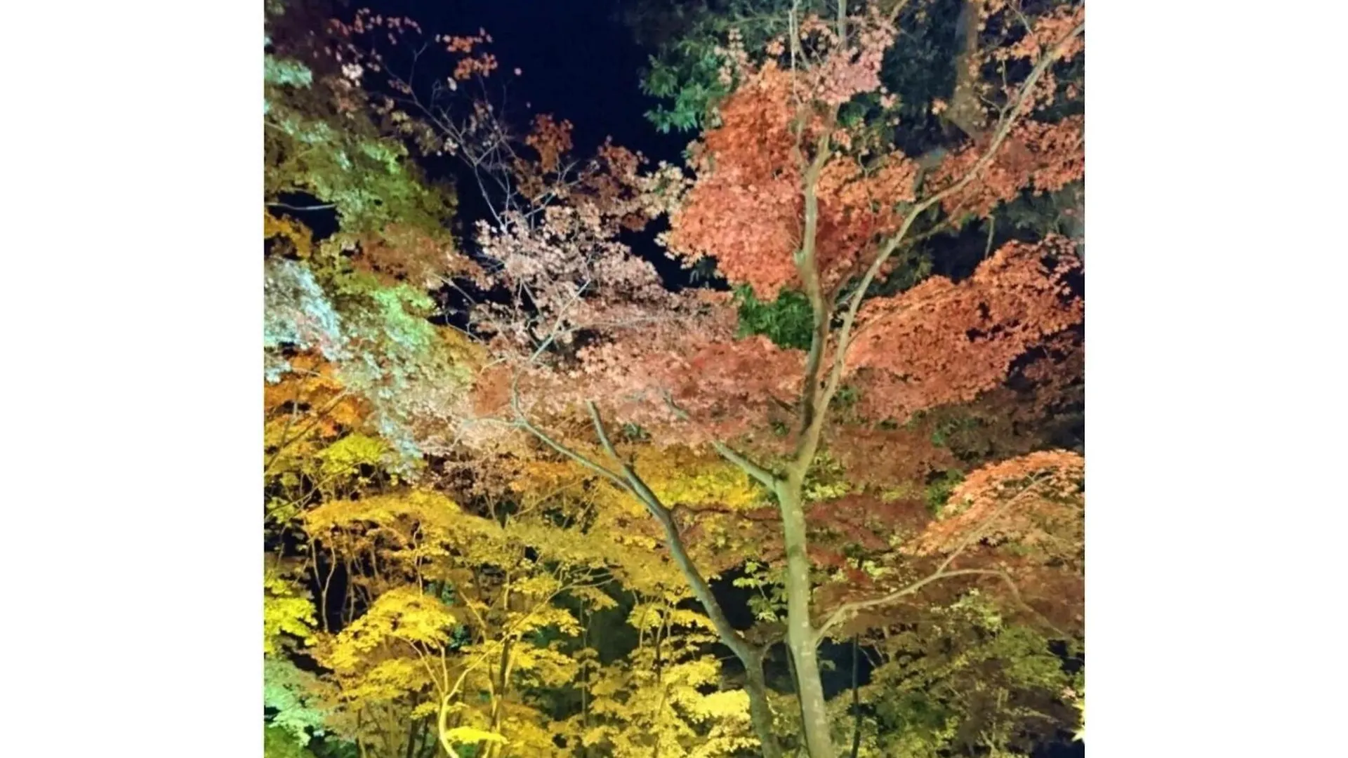 Hotel Tetora Yunokawaonsen - Vacation Stay 30586V Хакодате 0*,