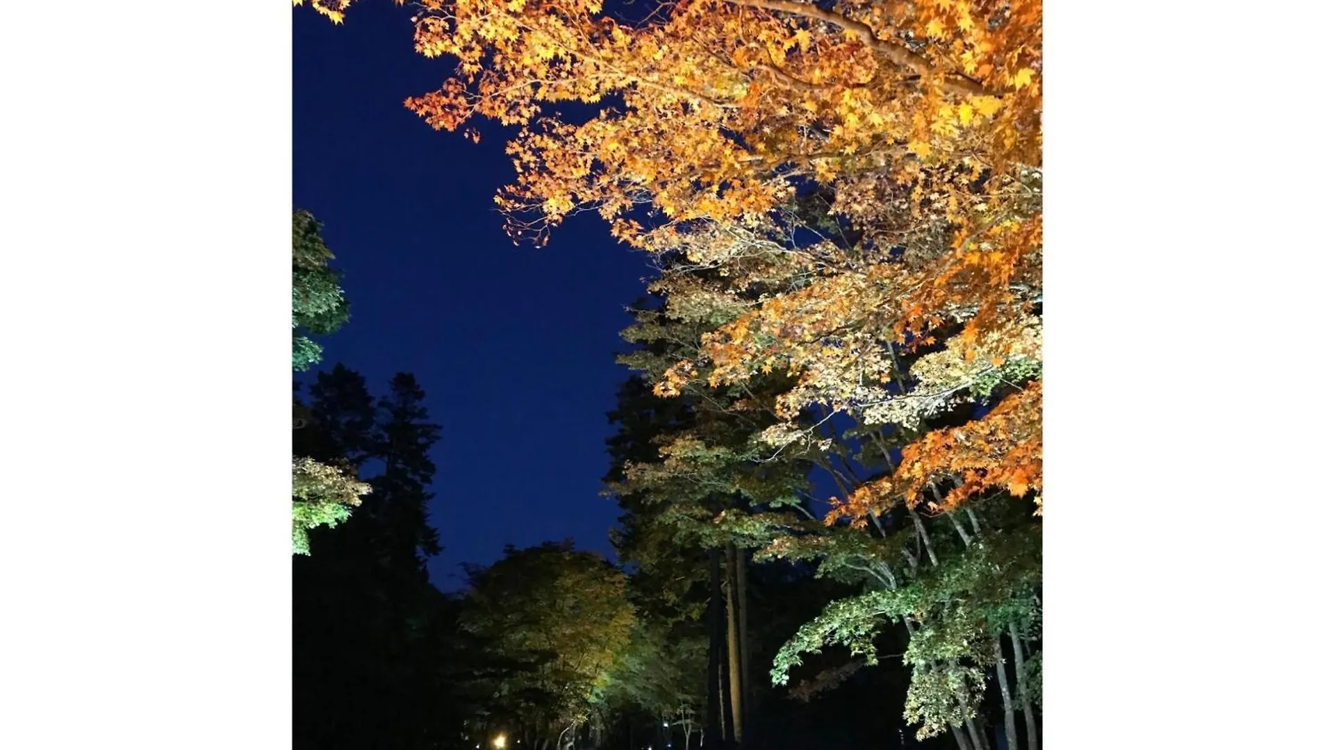 Hotel Tetora Yunokawaonsen - Vacation Stay 30586V Hakodate